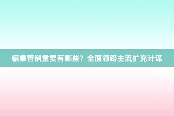 辘集营销重要有哪些？全面领路主流扩充计谋
